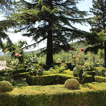 Corte Spinosa 农家乐 内格拉尔