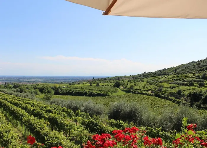 Corte Spinosa 农家乐 *