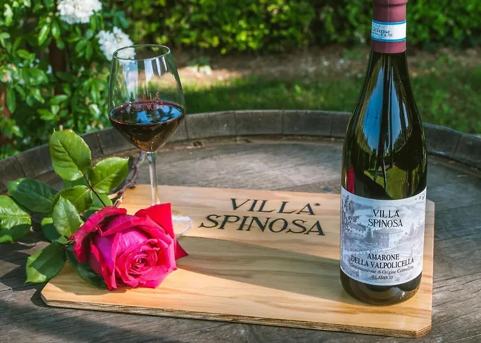 农家乐 Corte Spinosa *