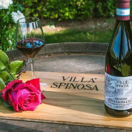 Alloggio per agriturismo Corte Spinosa *