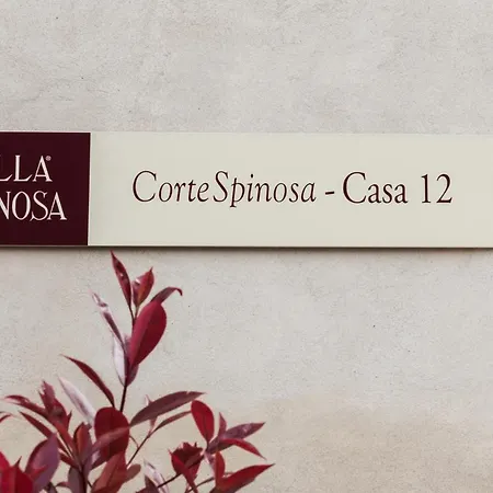 Corte Spinosa Farmház *
